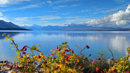 Lake Pukaki with Mount Cook and mountain ranges in the background, in Canterbury, New Zealandの写真素材