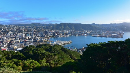Aerial view of Wellington city, capital of New Zealandの写真素材
