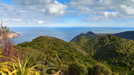 Huia Point Lookout, overlooking the bay in West Auckland, New Zealand