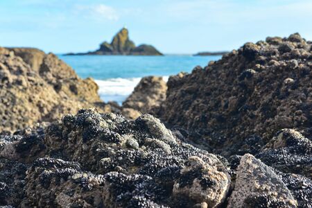 Cliffs and rock formations along black sand Whatipu Beach in Huia, West Auckland in New Zealandの写真素材