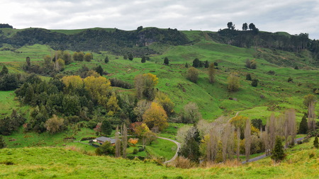 Scenic Mangaotaki Valley in North Island, New Zealand