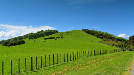 Hill at Duder Regional Park, an open farm in Auckland, New Zealandの写真素材