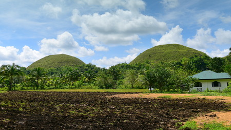 The Chocolate Hills geological formation in Bohol, Philippinesの写真素材