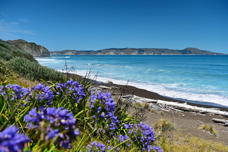 Beautiful hill and beach landscape at Mahia Peninsula in New Zealandの写真素材