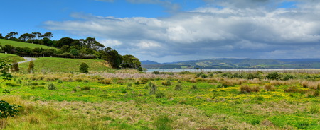 Duder Regional Park, a coastal farm park next to Hauraki gulf in New Zealand