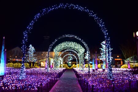 A garden light display at Nabana no Sato in Nagoya, Japan