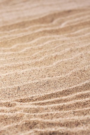 close up  sand background 
の写真素材