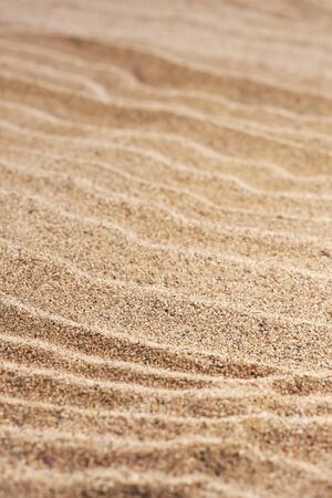 close up  sand background 
の写真素材