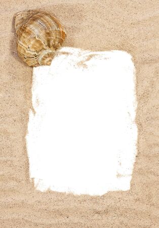 Sea shell with beach sand over white backgroundの写真素材