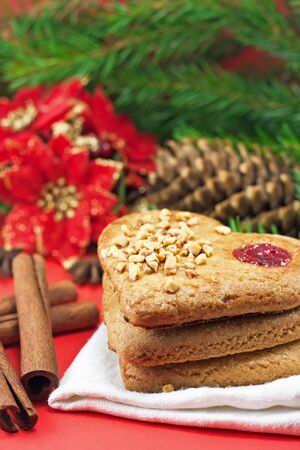 Christmas cookies and cinnamon sticks
の写真素材