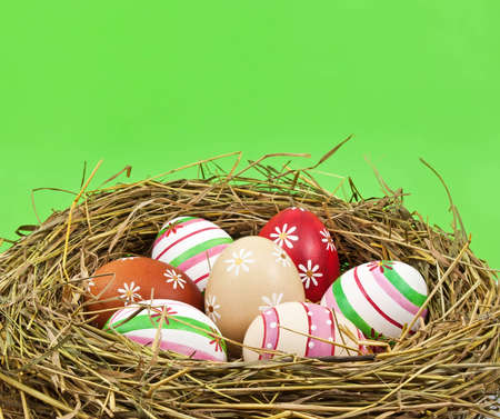 Easter eggs in nest on green background