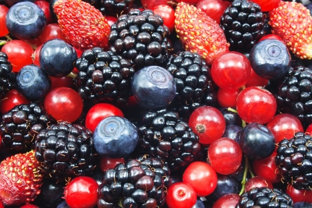 different fresh berries as background different fresh berries as background