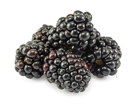 Fresh blackberry on a white background