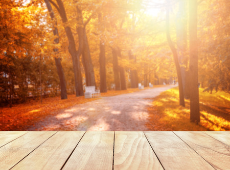 Old wooden table top with leaves falling in forest, autumn backgroundの写真素材