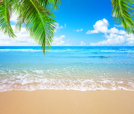 Coconut palm trees against blue sky and beautiful beach in Punta Cana, Dominican Republic. Vacation holidays background wallpaper. View of nice tropical beach.の写真素材