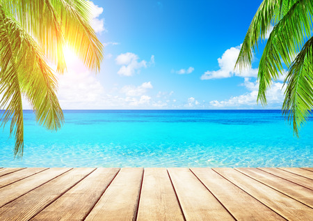 Coconut palm trees against blue sky and beautiful beach in Punta Cana, Dominican Republic. Vacation holidays background wallpaper. View of nice tropical beach.の写真素材