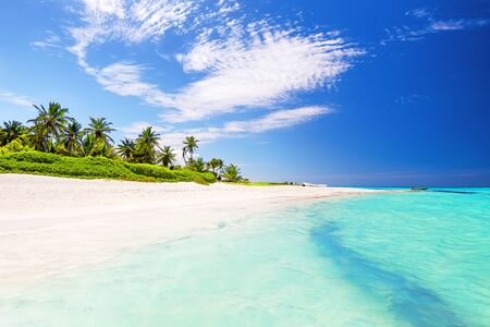 Coconut Palm trees on white sandy beach in Punta Cana, Dominican Republicの写真素材