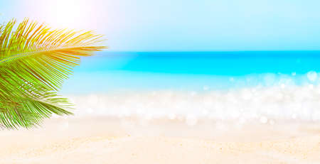 Panorama of blurred blue sky and leaves of coconut palm tree. Landscape of tropical summer beach. Summer beach vacation concept.の写真素材