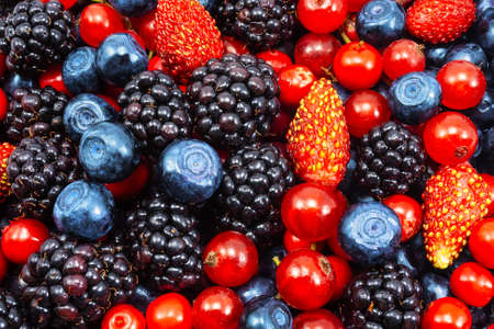 Background of fresh summer berries. Ripe blackberries, blueberries, strawberry and raspberries. Top view. Background of black-blue and red berries. Pattern of various fresh summer berries.の写真素材