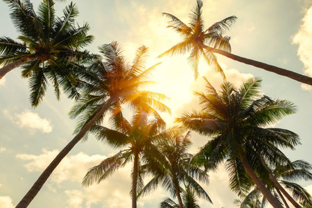 Beautiful tropical beach background. Coconut palm trees and cloud over blue sky in vintage tone. Summer vacation background concept.の写真素材
