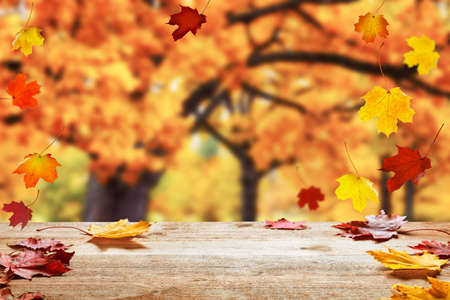 Wooden table top on blur autumn background. Autumn golden park background with bokeh light and colorful leaves. Beautiful autumn leaves falling on wooden surface.の写真素材