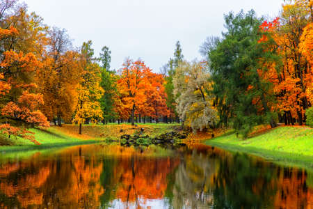 Autumn landscape, beautiful city park with fallen yellow leaves. Autumn scenery with lake in colorful forest.の写真素材