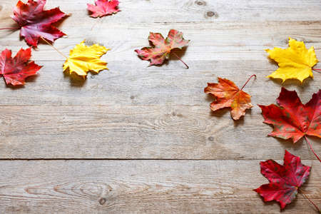 Autumn leaves on wooden boards, background of fall. Beautiful autumn leaves on wooden background.の写真素材
