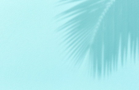 Panorama of texture wall with coconut palm leaf shadow on turquoise background. Summer tropical travel beach concept. Flat lay pastel color palm nature.の写真素材