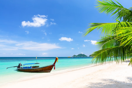 Palm tree and long tail boat on white sand tropical beach in Koh Tao island, Surat Thani Province, Thailand. Summer vacation concept. Beautiful tropical beach in Thailand.の写真素材