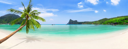 Panorama of longtail boats, coconut palm tree and blue water at Loh Dalum Beach in Ko Phi Phi Don Island, Thailand. Traditional long tail boats and beautiful beach in Phi Phi Islands, Thailand.の写真素材