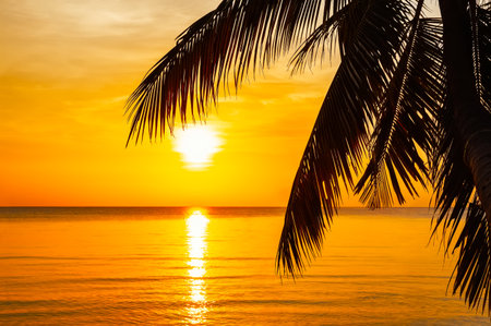 Silhouette of coconut palm tree leaves at tropical sunset on Koh Tao in Thailand.の写真素材
