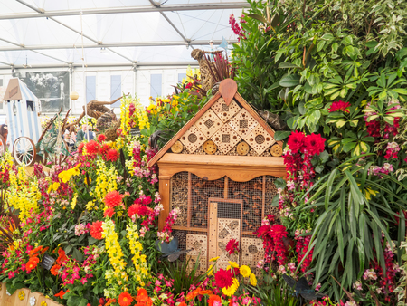 LONDON, UK - MAY 25, 2017: RHS Chelsea Flower Show 2017. Various flowers on display in the Great Pavillion.のeditorial素材