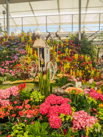 LONDON, UK - MAY 25, 2017: RHS Chelsea Flower Show 2017. Various flowers on the gold medal winner display in the Great Pavillion.のeditorial素材