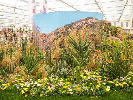 LONDON, UK - MAY 25, 2017: RHS Chelsea Flower Show 2017. Tropical plants display.のeditorial素材