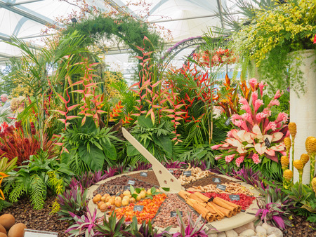 LONDON, UK - MAY 25, 2017: RHS Chelsea Flower Show 2017. Tropical plants and spice display.のeditorial素材