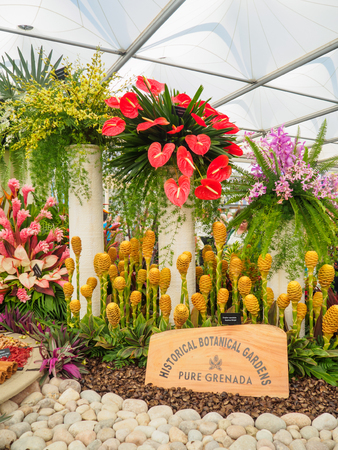 LONDON, UK - MAY 25, 2017: RHS Chelsea Flower Show 2017. Tropical plants and spice display.のeditorial素材