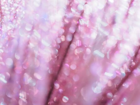 Abstract soft-focused glittering and shiny bokeh background.