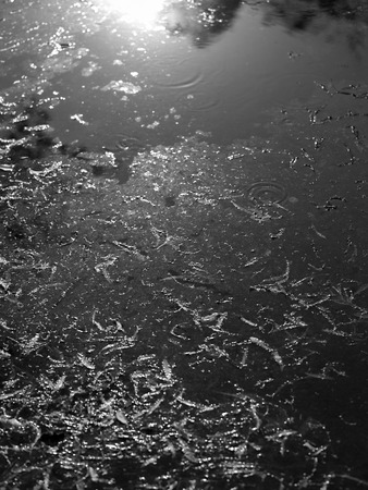 OIL IN LAKE CREATED BY POOR OPERATIONAL PRACTICES AND OTHER FACTORSの写真素材