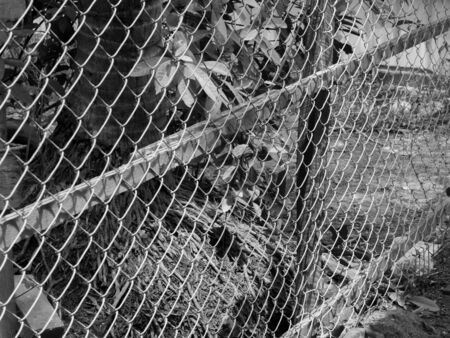 BLACK AND WHITE PHOTO OF CHAIN-LINK FENCE (ALSO REFERRED TO AS WIRE NETTING, WIRE-MESH FENCE, CHAIN-WIRE FENCE, CYCLONE FENCE, HURRICANE FENCE, OR DIAMOND-MESH FENCE)の写真素材