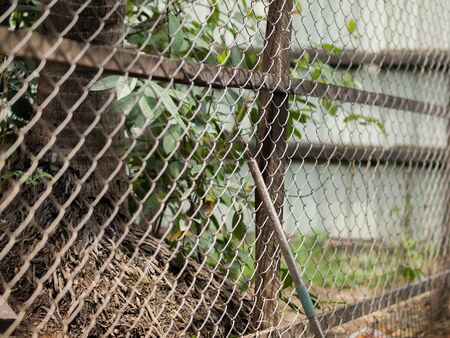 COLOR PHOTO OF CHAIN-LINK FENCE (ALSO REFERRED TO AS WIRE NETTING, WIRE-MESH FENCE, CHAIN-WIRE FENCE, CYCLONE FENCE, HURRICANE FENCE, OR DIAMOND-MESH FENCE)の写真素材