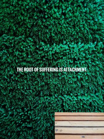THE ROOT OF SUFFERING IS ATTACHMENT Buddha quote on wooden bench backrest with green plant...