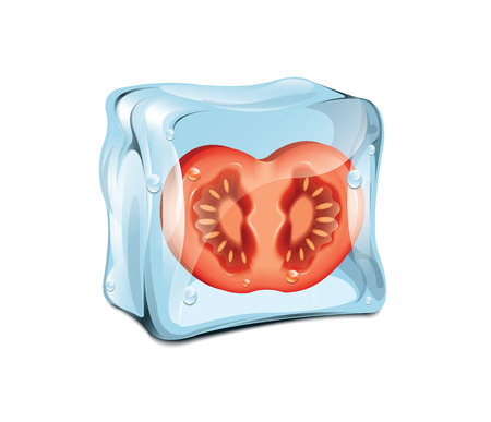 Ice Cube With Tomatoのイラスト素材