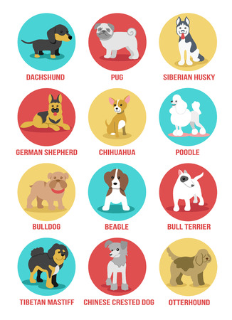 dogs icon setのイラスト素材