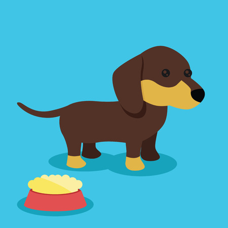 Vector Dachshund Flat Illustrationのイラスト素材