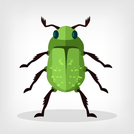 Vector beetle flat illustrationのイラスト素材