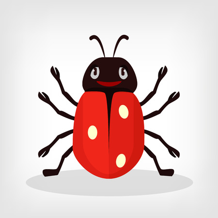 Vector ladybug flat illustrationのイラスト素材
