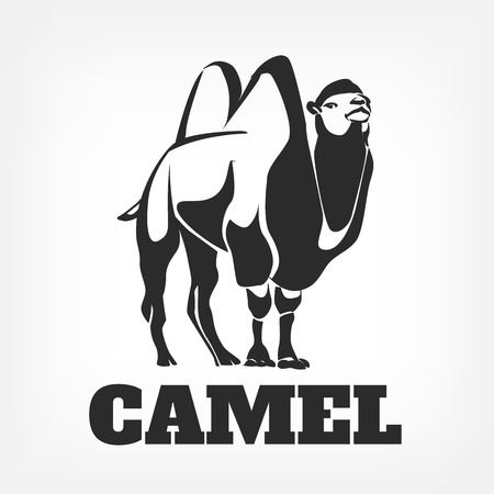 Camel. Vector black illustrationのイラスト素材