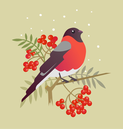 Bullfinch christmas bird cartoon art illustrationのイラスト素材