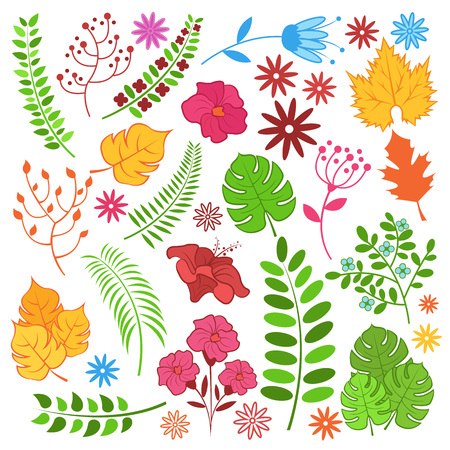 Floral set. Vector cartoon color illustrationのイラスト素材