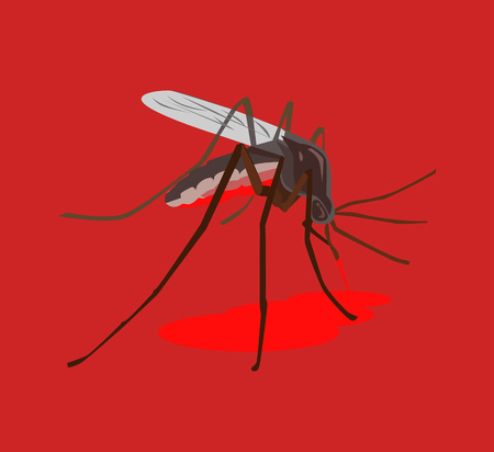 Mosquito drink blood. Vector flat illustrationのイラスト素材